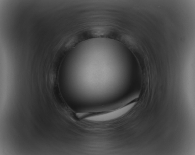 X0000086070227200704132047