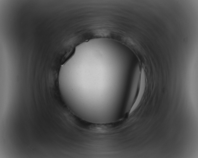 X0000086070229200704132047