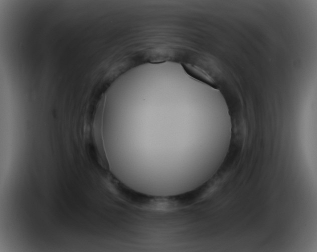 X0000086070231200704132047