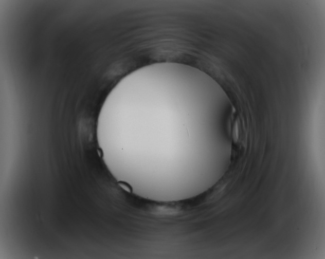 X0000086070232200704132047