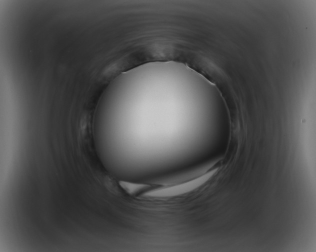 X0000086070233200704132047