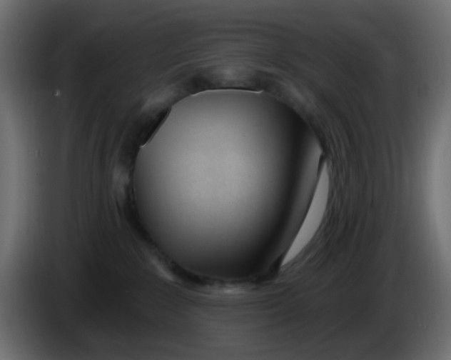 X0000086070235200704132047