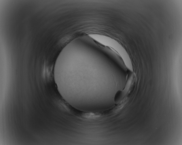 X0000086070239200704132047