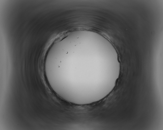 X0000086070241200704132046