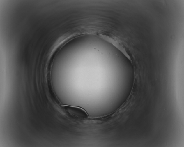 X0000086070242200704132046