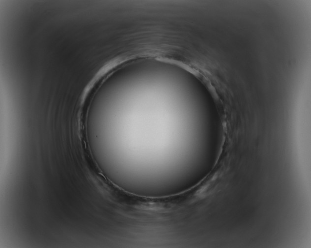 X0000086070244200704132046