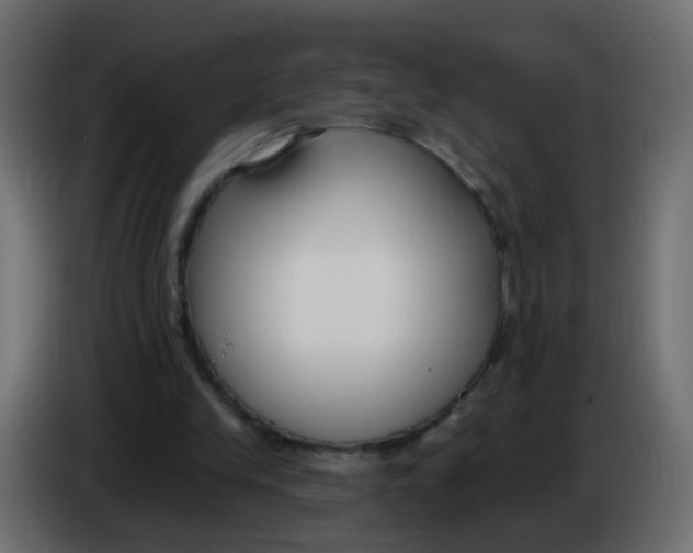 X0000086070245200704132046