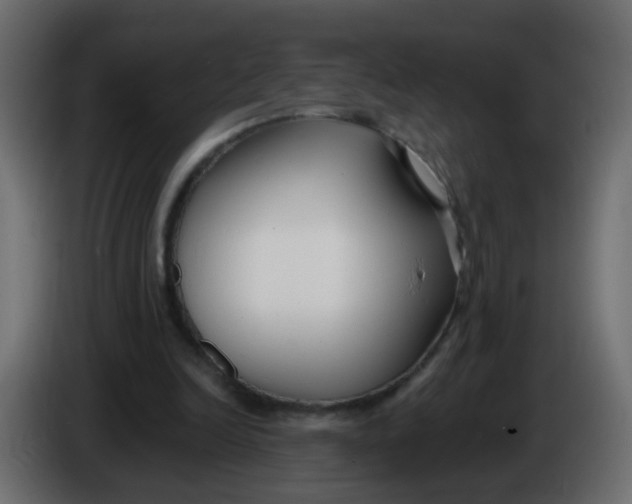 X0000086070246200704132046