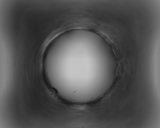 X0000086070247200704132046