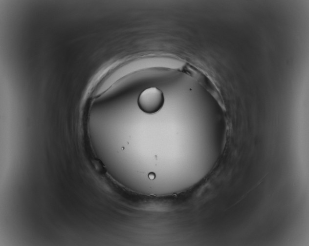 X0000086070248200704132046