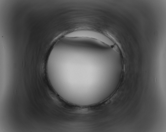 X0000086070249200704132046