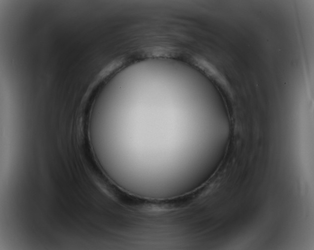 X0000086070250200704132046