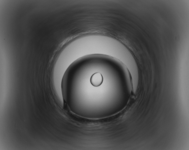 X0000086070252200704132046