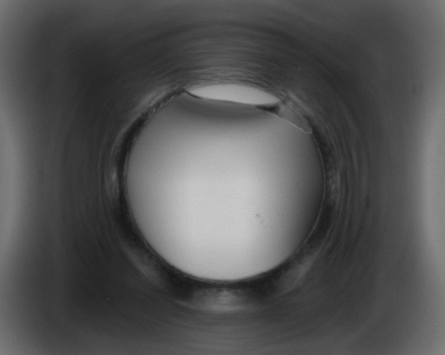 X0000086070254200704132047