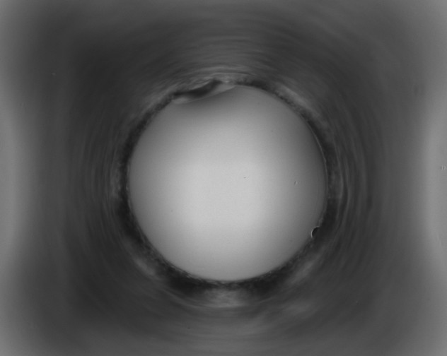 X0000086070255200704132047