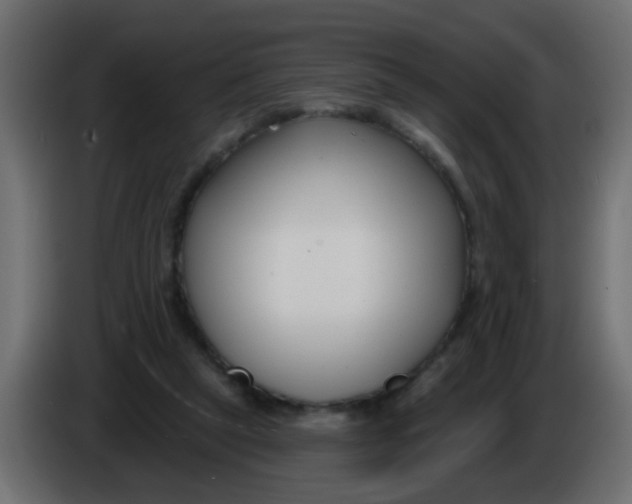X0000086070257200704132047