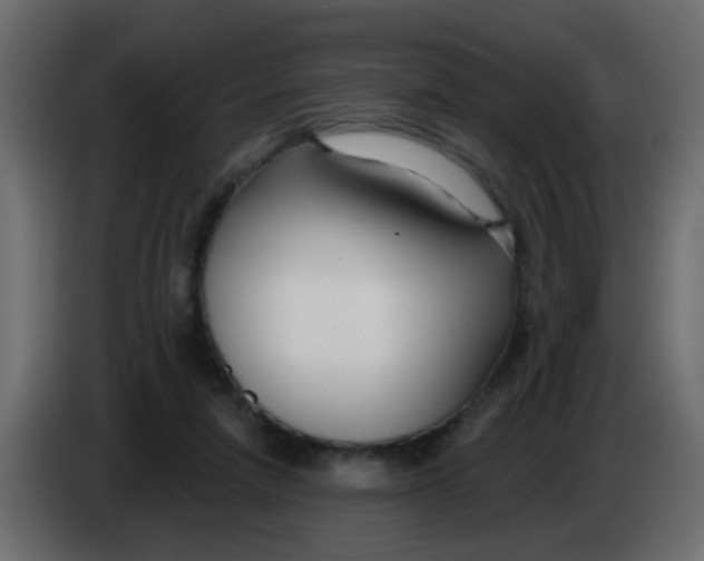 X0000086070258200704132047