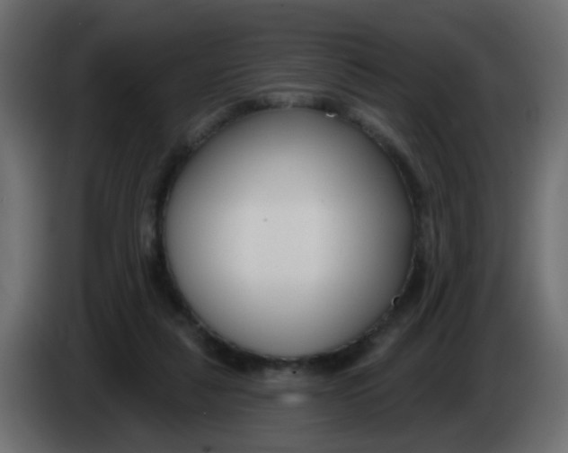 X0000086070259200704132047