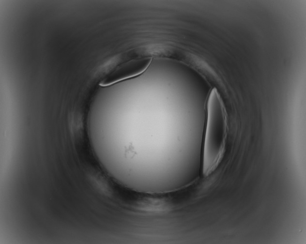X0000086070260200704132047