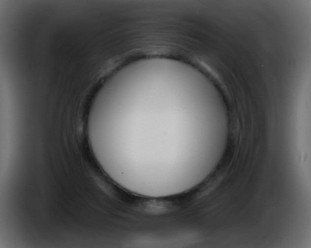 X0000086070261200704132047