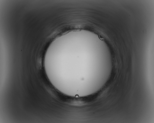 X0000086070262200704132047