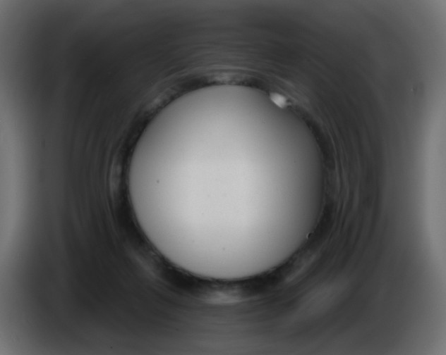 X0000086070263200704132047