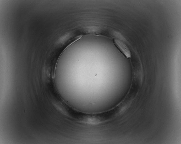 X0000086070264200704132047