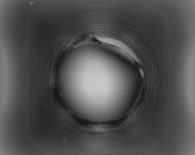 X0000086070268200704132047