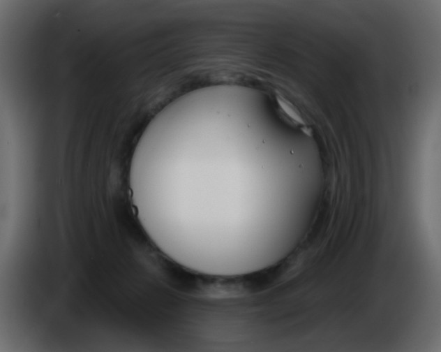 X0000086070270200704132047