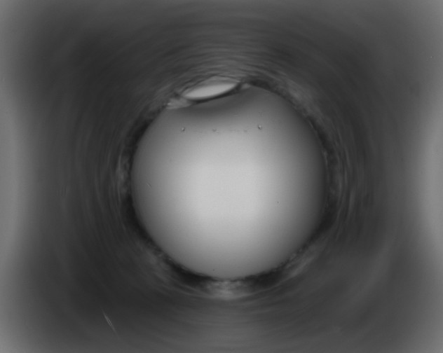 X0000086070273200704132047