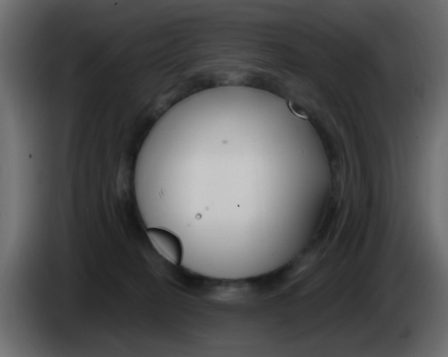 X0000086070274200704132047