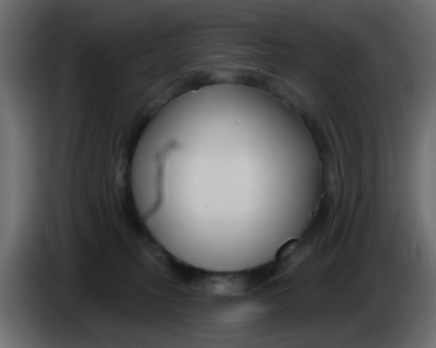 X0000086070275200704132047