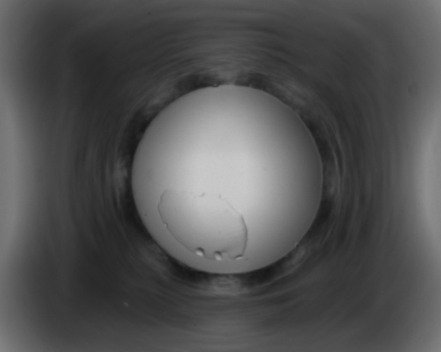 X0000086070279200704132047