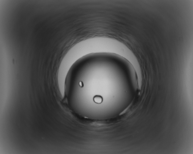 X0000086070280200704132047