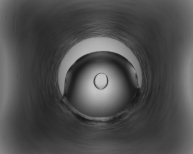 X0000086070284200704132047