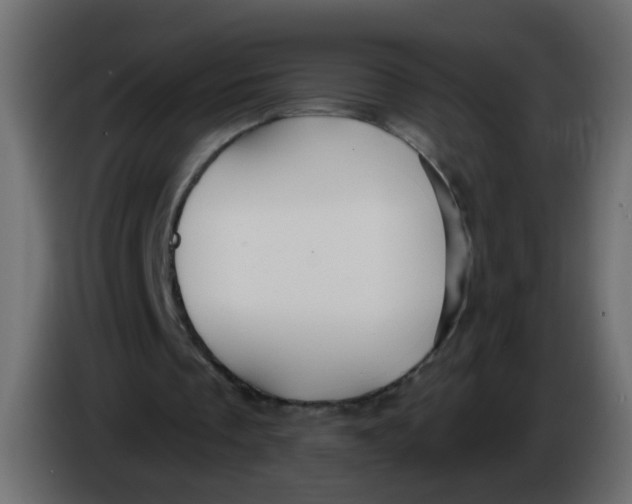 X0000086070289200704132046