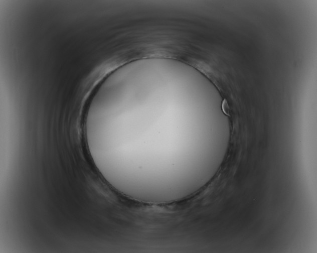 X0000086070290200704132046