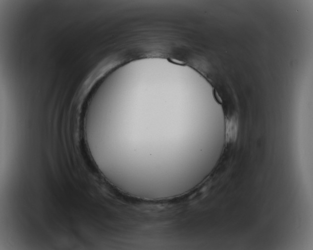 X0000086070291200704132046