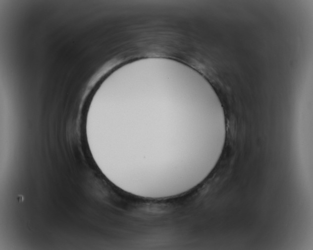 X0000086070292200704132046
