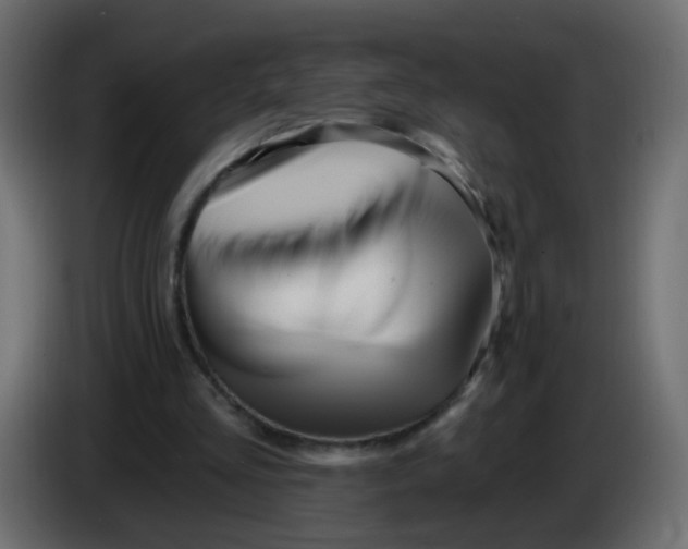 X0000086070293200704132046