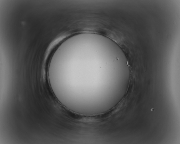 X0000086070294200704132046