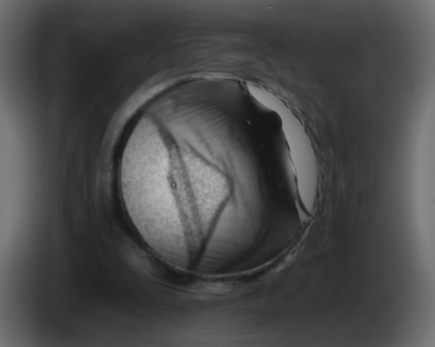 X0000086070295200704132046