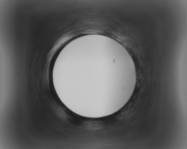 X0000086070296200704132046