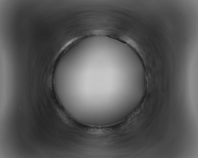 X0000086070297200704132046