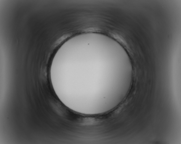 X0000086070298200704132046