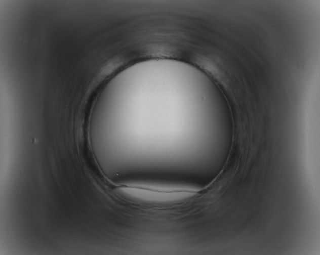X0000086070299200704132046