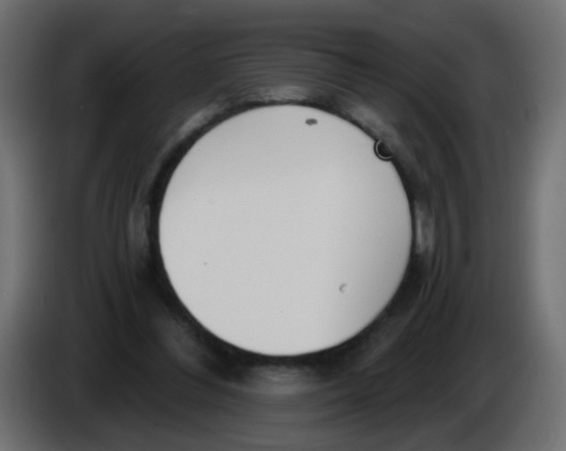 X0000086070300200704132046
