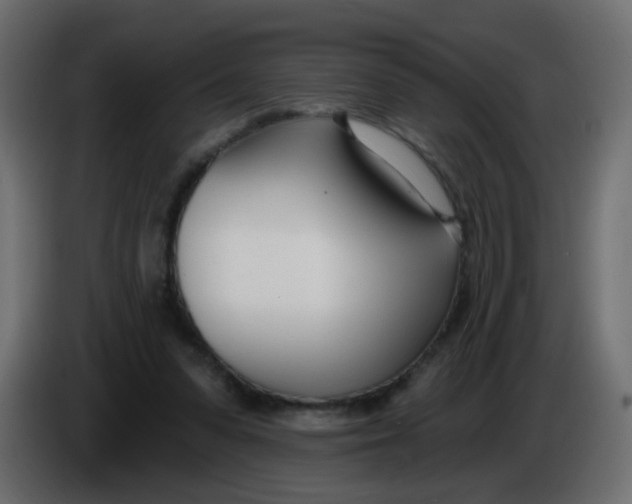 X0000086070303200704132046