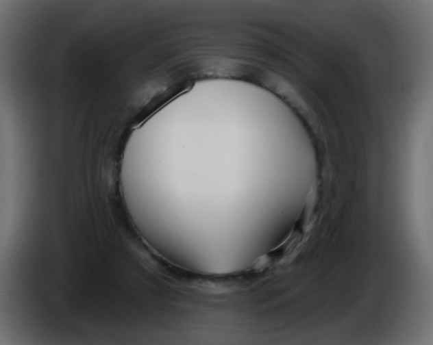 X0000086070305200704132046