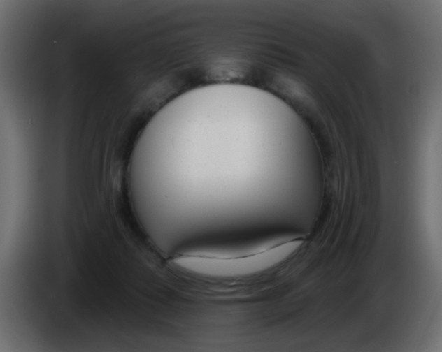 X0000086070315200704132046